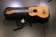 Ukulele Startet Pack – Oder Ukulele?